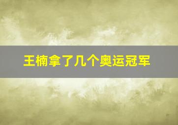 王楠拿了几个奥运冠军