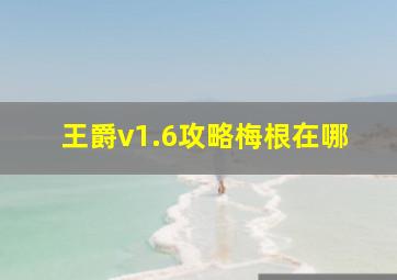 王爵v1.6攻略梅根在哪