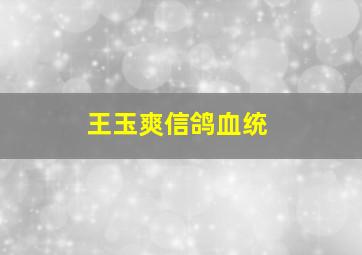 王玉爽信鸽血统