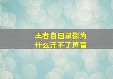 王者自由录像为什么开不了声音