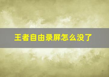 王者自由录屏怎么没了