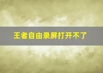 王者自由录屏打开不了