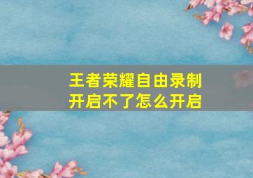 王者荣耀自由录制开启不了怎么开启