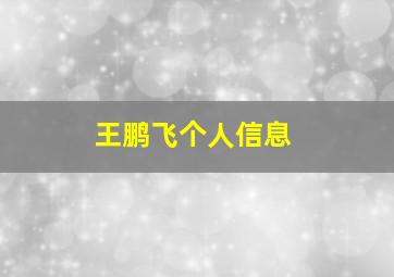 王鹏飞个人信息