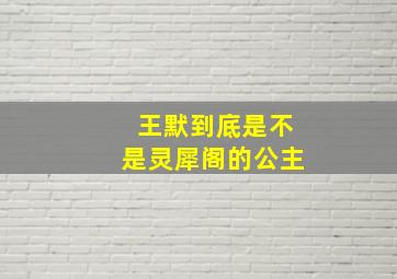 王默到底是不是灵犀阁的公主