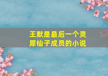 王默是最后一个灵犀仙子成员的小说