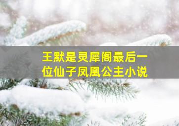 王默是灵犀阁最后一位仙子凤凰公主小说