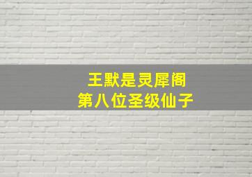 王默是灵犀阁第八位圣级仙子