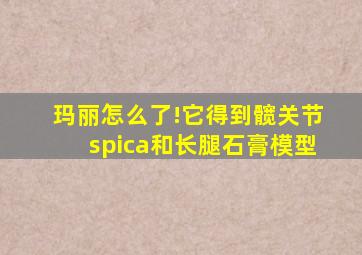 玛丽怎么了!它得到髋关节spica和长腿石膏模型