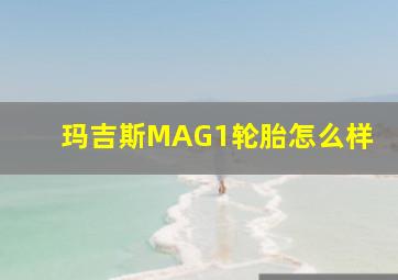 玛吉斯MAG1轮胎怎么样