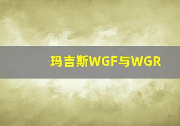 玛吉斯WGF与WGR