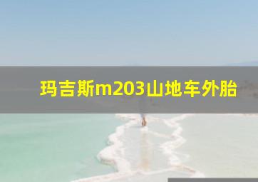 玛吉斯m203山地车外胎