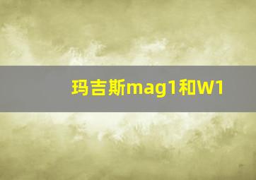 玛吉斯mag1和W1