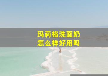 玛莉格洗面奶怎么样好用吗