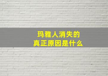 玛雅人消失的真正原因是什么