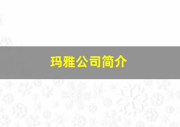 玛雅公司简介