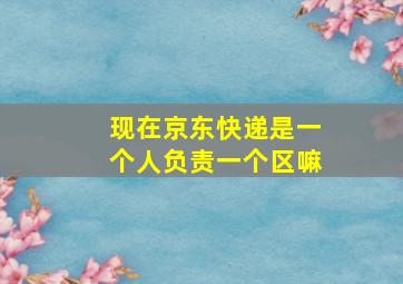 现在京东快递是一个人负责一个区嘛