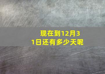 现在到12月31日还有多少天呢