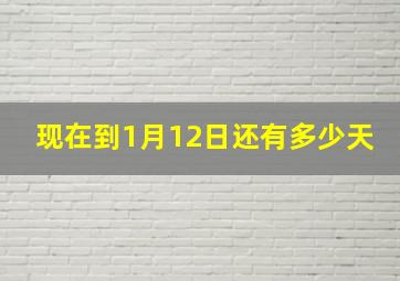 现在到1月12日还有多少天