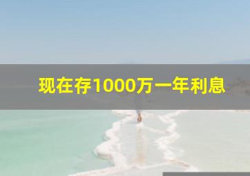 现在存1000万一年利息