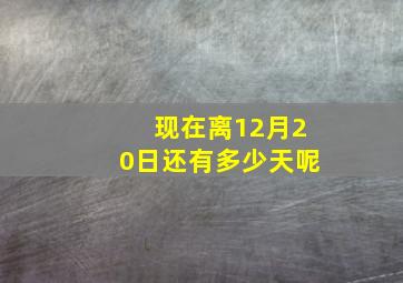 现在离12月20日还有多少天呢