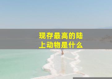 现存最高的陆上动物是什么