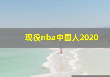 现役nba中国人2020