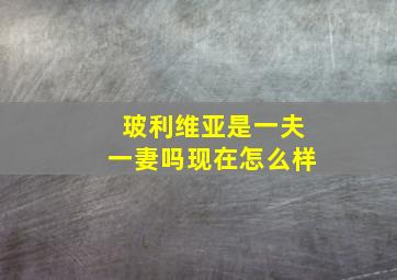 玻利维亚是一夫一妻吗现在怎么样