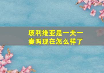 玻利维亚是一夫一妻吗现在怎么样了