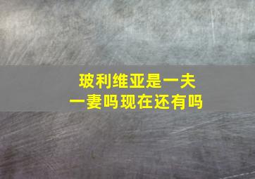 玻利维亚是一夫一妻吗现在还有吗