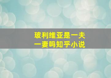 玻利维亚是一夫一妻吗知乎小说