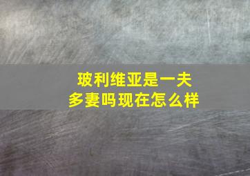 玻利维亚是一夫多妻吗现在怎么样