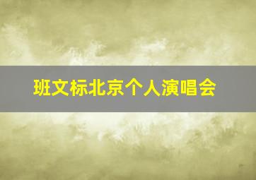 班文标北京个人演唱会