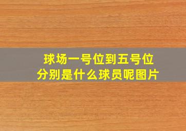 球场一号位到五号位分别是什么球员呢图片