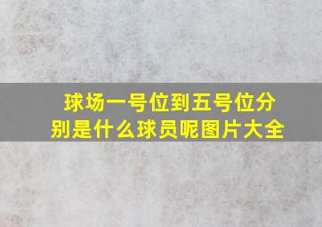 球场一号位到五号位分别是什么球员呢图片大全