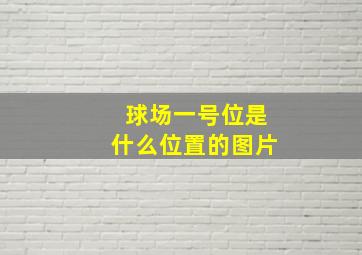 球场一号位是什么位置的图片