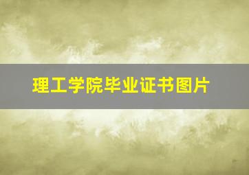 理工学院毕业证书图片