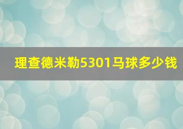 理查德米勒5301马球多少钱