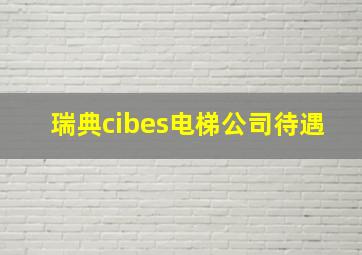 瑞典cibes电梯公司待遇