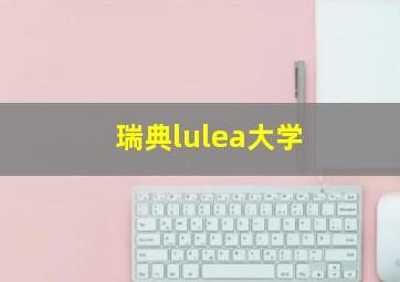 瑞典lulea大学