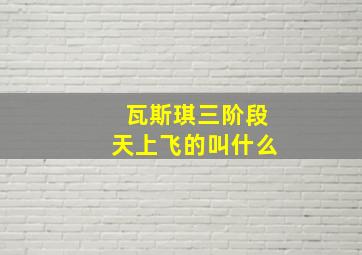 瓦斯琪三阶段天上飞的叫什么