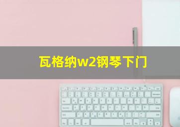 瓦格纳w2钢琴下门