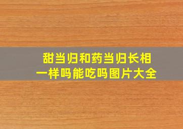 甜当归和药当归长相一样吗能吃吗图片大全