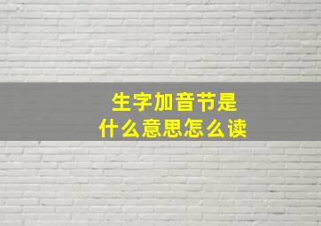 生字加音节是什么意思怎么读