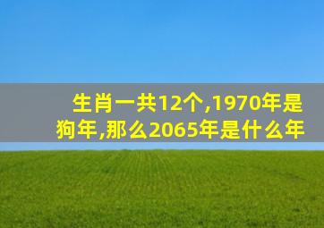 生肖一共12个,1970年是狗年,那么2065年是什么年