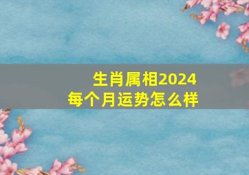 生肖属相2024每个月运势怎么样