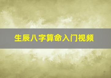 生辰八字算命入门视频