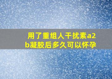 用了重组人干扰素a2b凝胶后多久可以怀孕