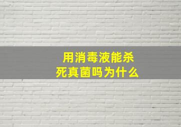 用消毒液能杀死真菌吗为什么