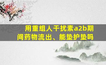 用重组人干扰素a2b期间药物流出、能垫护垫吗